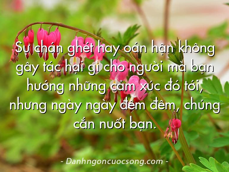 Sự chán ghét hay oán hận không gây tác hại gì cho người mà bạn hướng những cảm xúc đó tới, nhưng ngày ngày đêm đêm, chúng cắn nuốt bạn.