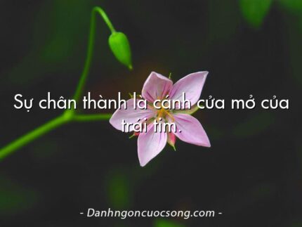 Sự chân thành là cánh cửa mở của trái tim.