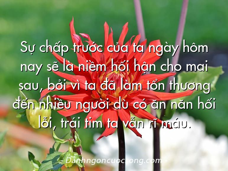Sự chấp trước của ta ngày hôm nay sẽ là niềm hối hận cho mai sau, bởi vì ta đã làm tổn thương đến nhiều người dù có ăn năn hối lỗi, trái tim ta vẫn rĩ máu.