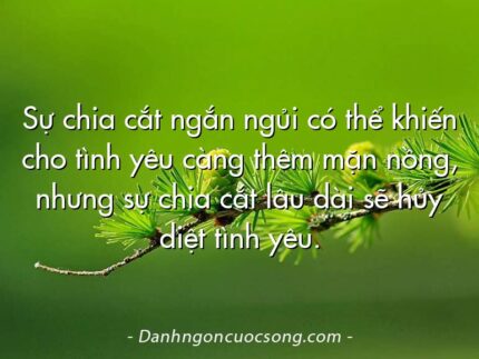 Sự chia cắt ngắn ngủi có thể khiến cho tình yêu càng thêm mặn nồng, nhưng sự chia cắt lâu dài sẽ hủy diệt tình yêu.