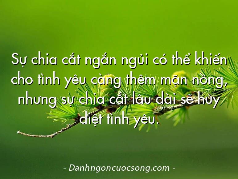Sự chia cắt ngắn ngủi có thể khiến cho tình yêu càng thêm mặn nồng, nhưng sự chia cắt lâu dài sẽ hủy diệt tình yêu.