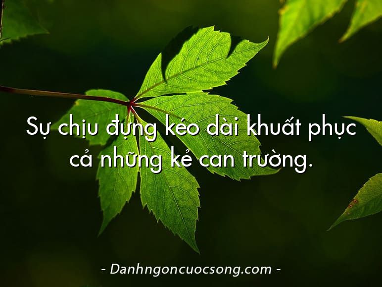 Sự chịu đựng kéo dài khuất phục cả những kẻ can trường.