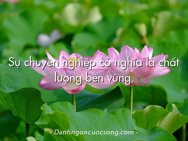 Sự chuyên nghiệp có nghĩa là chất lượng bền vững.