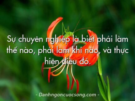 Sự chuyên nghiệp là biết phải làm thế nào, phải làm khi nào, và thực hiện điều đó.
