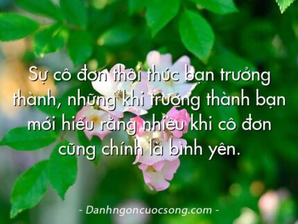 Sự cô đơn thôi thúc bạn trưởng thành, những khi trưởng thành bạn mới hiểu rằng nhiều khi cô đơn cũng chính là bình yên.