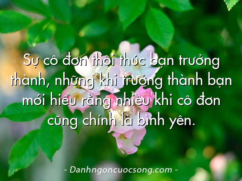 Sự cô đơn thôi thúc bạn trưởng thành, những khi trưởng thành bạn mới hiểu rằng nhiều khi cô đơn cũng chính là bình yên.