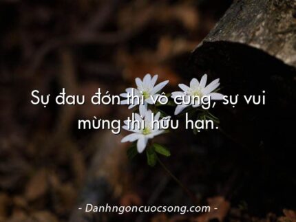 Sự đau đớn thì vô cùng, sự vui mừng thì hữu hạn.