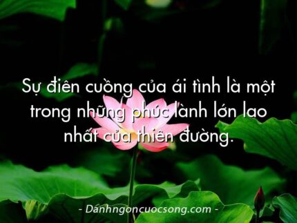 Sự điên cuồng của ái tình là một trong những phúc lành lớn lao nhất của thiên đường.
