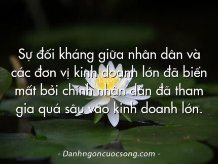 Sự đối kháng giữa nhân dân và các đơn vị kinh doanh lớn đã biến mất bởi chính nhân dân đã tham gia quá sâu vào kinh doanh lớn.