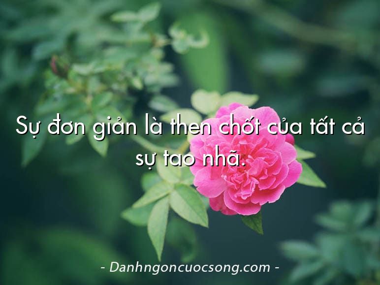 Sự đơn giản là then chốt của tất cả sự tao nhã.