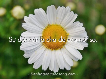Sự dốt nát là cha đẻ của nỗi sợ.