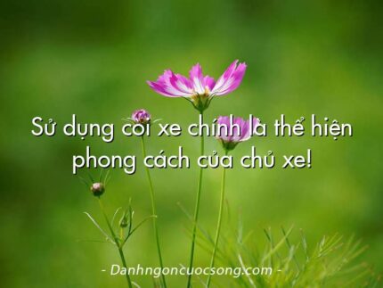 Sử dụng còi xe chính là thể hiện phong cách của chủ xe!