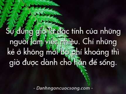 Sự đúng giờ là đặc tính của những người làm việc nhiều. Chỉ những kẻ ở không mới bỏ phí khoảng thì giờ được dành cho hắn để sống.