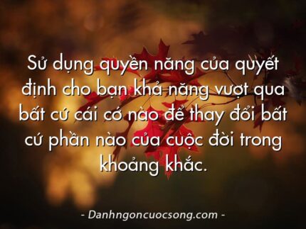 Sử dụng quyền năng của quyết định cho bạn khả năng vượt qua bất cứ cái cớ nào để thay đổi bất cứ phần nào của cuộc đời trong khoảng khắc.
