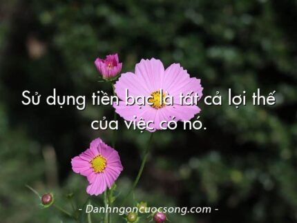 Sử dụng tiền bạc là tất cả lợi thế của việc có nó.