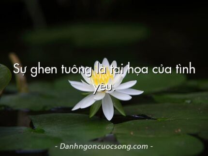 Sự ghen tuông là tai họa của tình yêu.