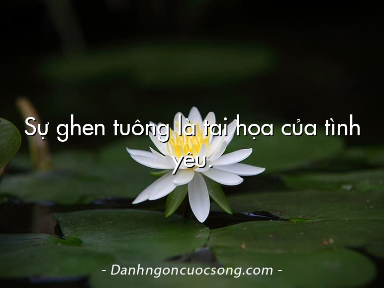 Sự ghen tuông là tai họa của tình yêu.