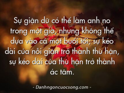 Sự giận dữ có thể làm anh no trong một giờ, nhưng không thể dựa vào cả một buổi tối; sự kéo dài của nỗi giận trở thành thù hận, sự kéo dài của thù hận trở thành ác tâm.