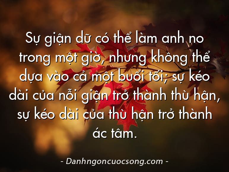 Sự giận dữ có thể làm anh no trong một giờ, nhưng không thể dựa vào cả một buổi tối; sự kéo dài của nỗi giận trở thành thù hận, sự kéo dài của thù hận trở thành ác tâm.