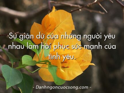 Sự giận dữ của những người yêu nhau làm hồi phục sức mạnh của tình yêu.