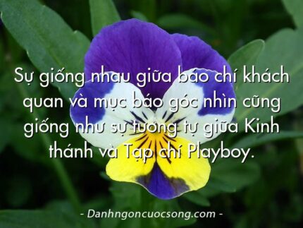 Sự giống nhau giữa báo chí khách quan và mục báo góc nhìn cũng giống như sự tương tự giữa Kinh thánh và Tạp chí Playboy.