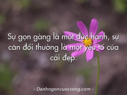 Sự gọn gàng là một đức hạnh, sự cân đối thường là một yếu tố của cái đẹp.