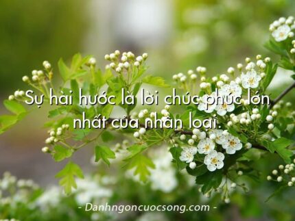 Sự hài hước là lời chúc phúc lớn nhất của nhân loại.