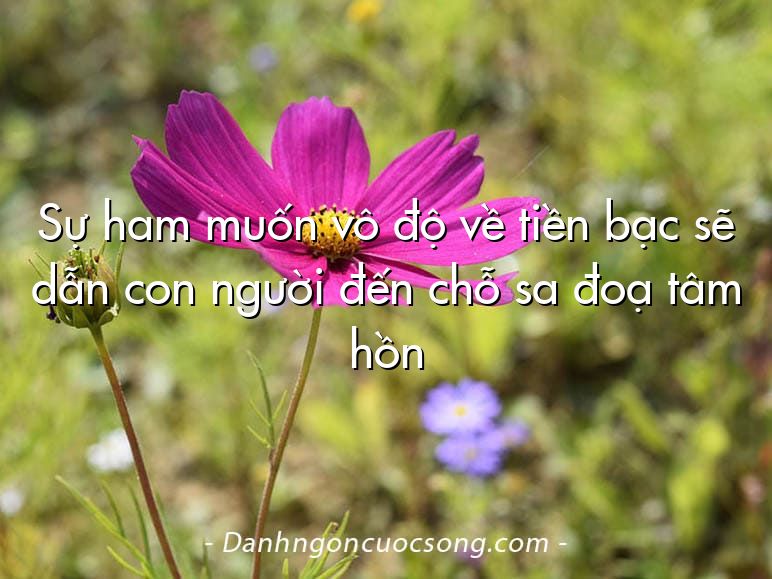 Sự ham muốn vô độ về tiền bạc sẽ dẫn con người đến chỗ sa đoạ tâm hồn