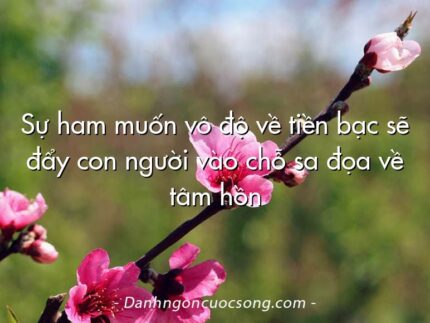 Sự ham muốn vô độ về tiền bạc sẽ đẩy con người vào chỗ sa đọa về tâm hồn