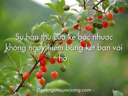 Sự hận thù của kẻ bạc nhược không nguy hiểm bằng kết bạn với họ.