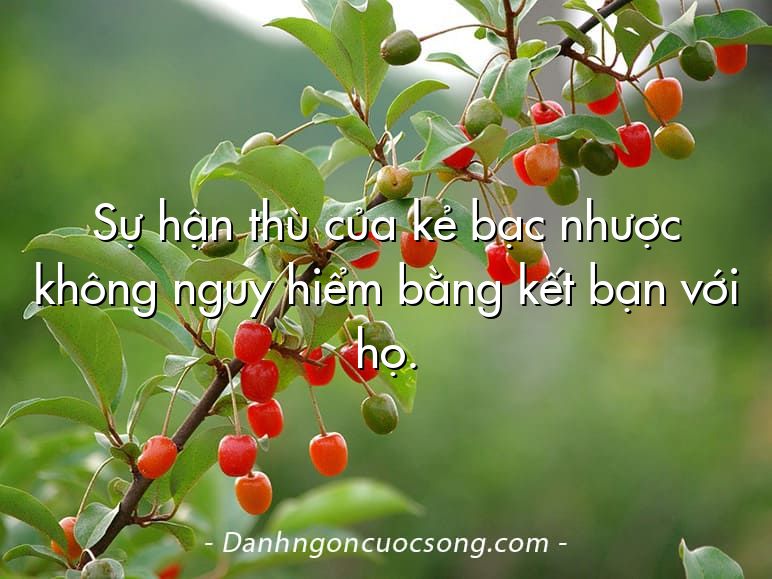 Sự hận thù của kẻ bạc nhược không nguy hiểm bằng kết bạn với họ.