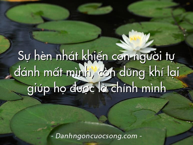 Sự hèn nhát khiến con người tự đánh mất mình, còn dũng khí lại giúp họ được là chính mình