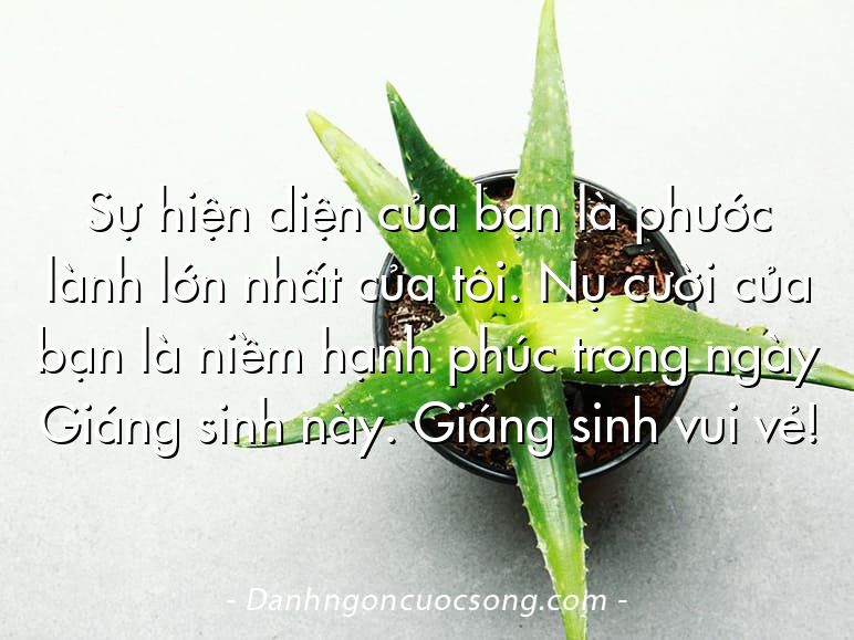 Sự hiện diện của bạn là phước lành lớn nhất của tôi. Nụ cười của bạn là niềm hạnh phúc trong ngày Giáng sinh này. Giáng sinh vui vẻ!