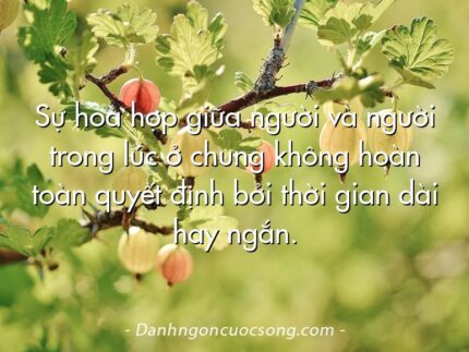 Sự hoà hợp giữa người và người trong lúc ở chung không hoàn toàn quyết định bởi thời gian dài hay ngắn.