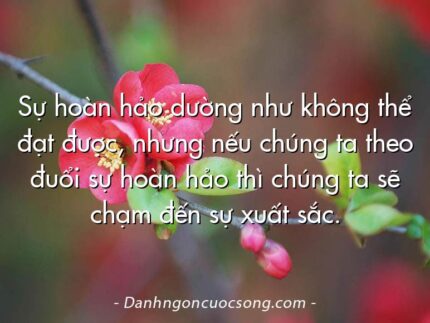 Sự hoàn hảo dường như không thể đạt được, nhưng nếu chúng ta theo đuổi sự hoàn hảo thì chúng ta sẽ chạm đến sự xuất sắc.