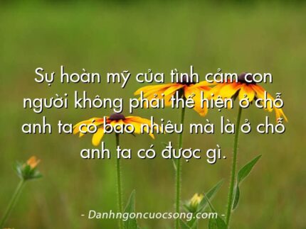 Sự hoàn mỹ của tình cảm con người không phải thể hiện ở chỗ anh ta có bao nhiêu mà là ở chỗ anh ta có được gì.