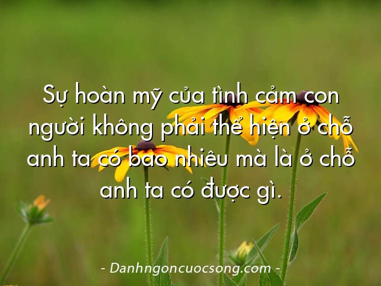 Sự hoàn mỹ của tình cảm con người không phải thể hiện ở chỗ anh ta có bao nhiêu mà là ở chỗ anh ta có được gì.