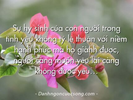 Sự hy sinh của con người trong tình yêu không tỷ lệ thuận với niềm hạnh phúc mà họ giành được, người càng muốn yêu lại càng không được yêu…
