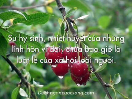 Sự hy sinh, nhiệt huyết của những linh hồn vĩ đại, chưa bao giờ là luật lệ của xã hội loài người.