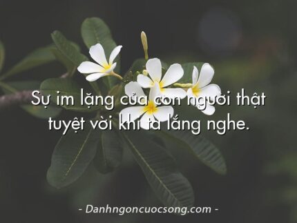Sự im lặng của con người thật tuyệt vời khi ta lắng nghe.