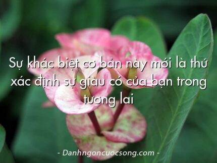 Sự khác biệt cơ bản này mới là thứ xác định sự giàu có của bạn trong tương lai