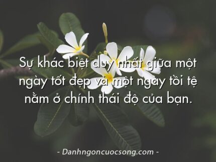 Sự khác biệt duy nhất giữa một ngày tốt đẹp và một ngày tồi tệ nằm ở chính thái độ của bạn.