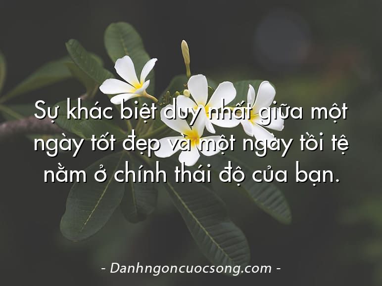 Sự khác biệt duy nhất giữa một ngày tốt đẹp và một ngày tồi tệ nằm ở chính thái độ của bạn.