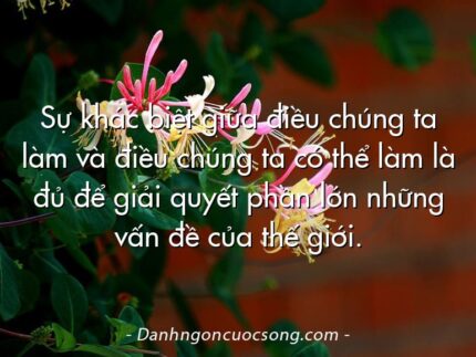 Sự khác biệt giữa điều chúng ta làm và điều chúng ta có thể làm là đủ để giải quyết phần lớn những vấn đề của thế giới.