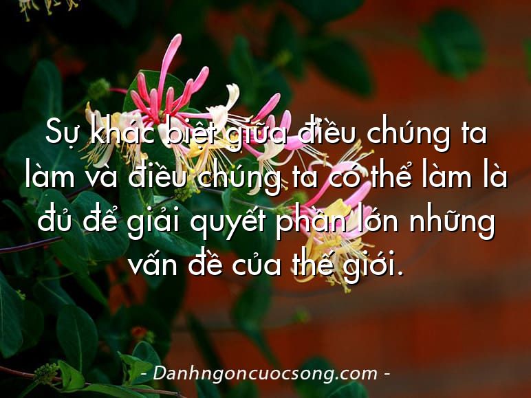 Sự khác biệt giữa điều chúng ta làm và điều chúng ta có thể làm là đủ để giải quyết phần lớn những vấn đề của thế giới.