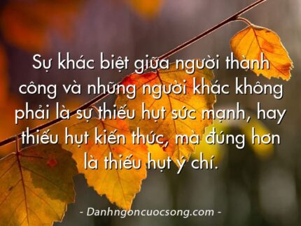 Sự khác biệt giữa người thành công và những người khác không phải là sự thiếu hụt sức mạnh, hay thiếu hụt kiến thức, mà đúng hơn là thiếu hụt ý chí.