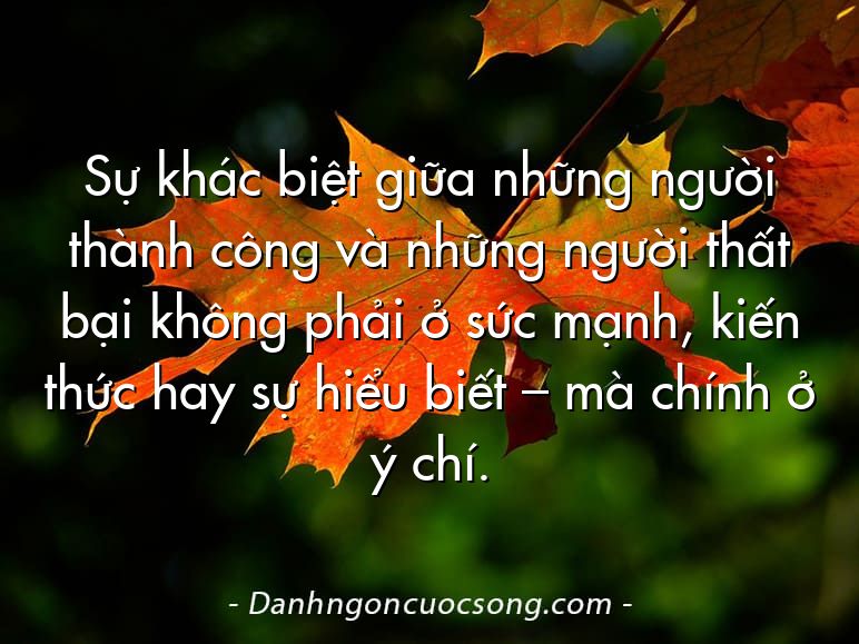 Sự khác biệt giữa những người thành công và những người thất bại không phải ở sức mạnh, kiến thức hay sự hiểu biết – mà chính ở ý chí.