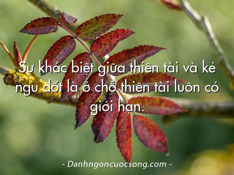 Sự khác biệt giữa thiên tài và kẻ ngu dốt là ở chỗ thiên tài luôn có giới hạn.