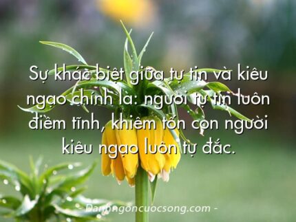Sự khác biệt giữa tự tin và kiêu ngạo chính là: người tự tin luôn điềm tĩnh, khiêm tốn còn người kiêu ngạo luôn tự đắc.