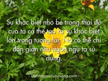 Sự khác biệt nhỏ bé trong thái độ của ta có thể tạo ra sự khác biệt lớn trong tương lai. Nó có thể chỉ đơn giản như ngôn ngữ ta sử dụng.